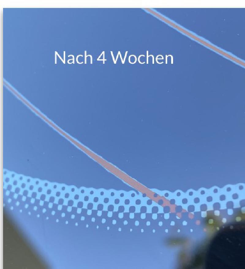 Weisser Saum entlang der Punktematrix einer getönten Heckscheibe, etwa vier Wochen nach der Montage